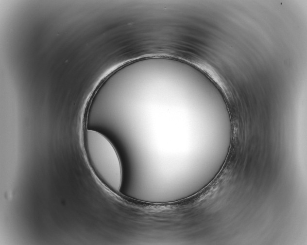 X0000094341143200711021144