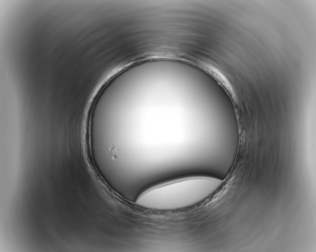 X0000094341146200711021144