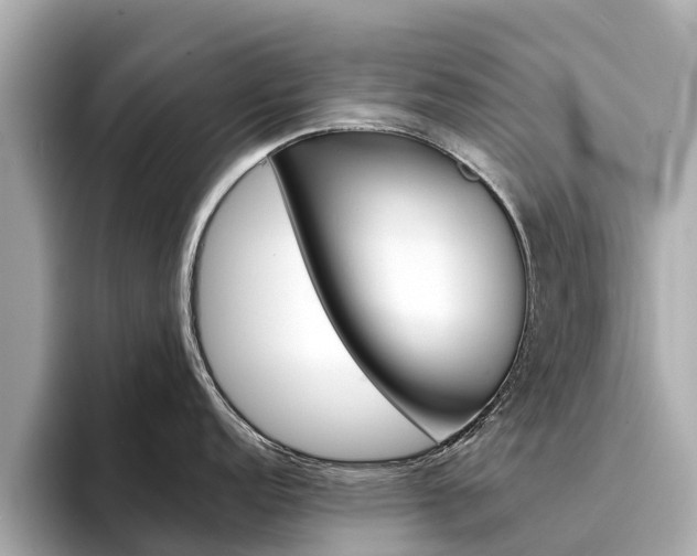 X0000094341152200711021144