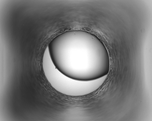 X0000094341157200711021144