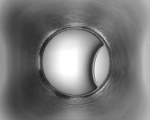 X0000094341171200711021144