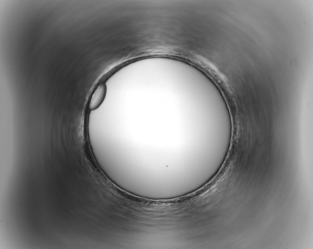 X0000094341174200711021144