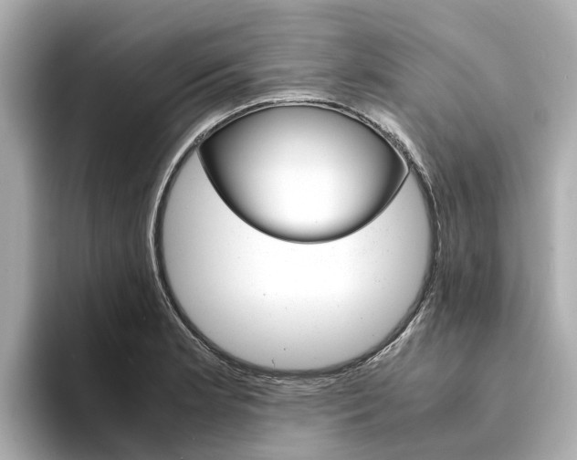 X0000094341181200711021144