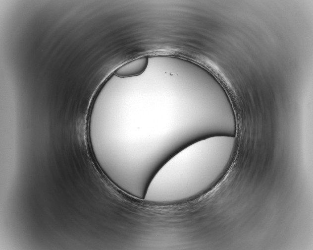 X0000094341186200711021143