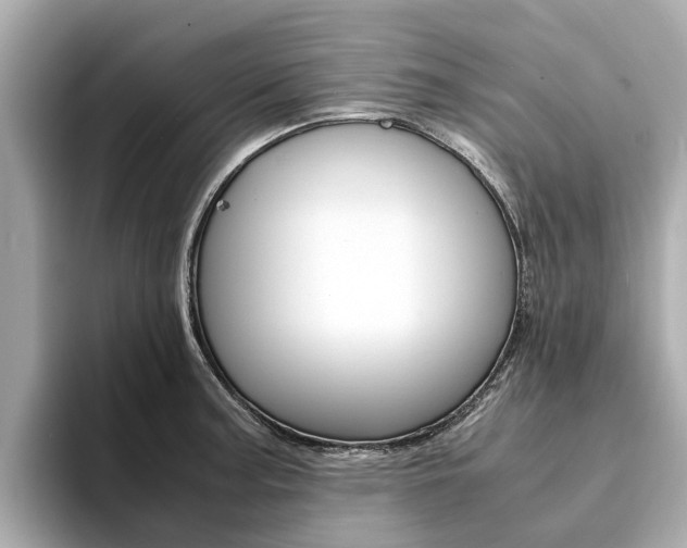 X0000094341187200711021143