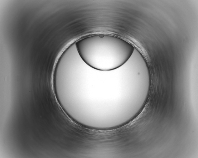 X0000094341188200711021143