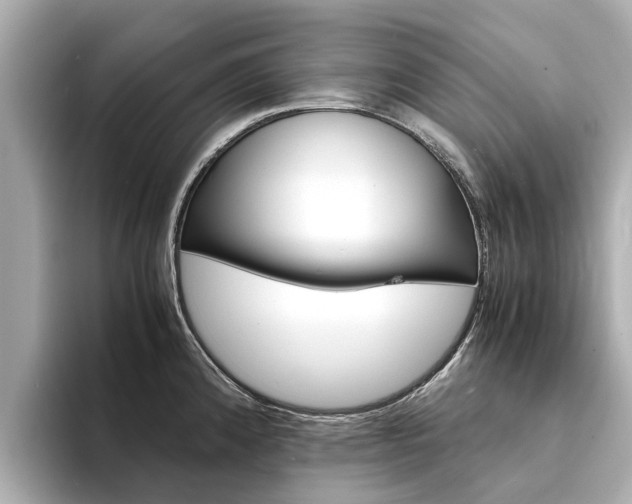 X0000094341192200711021143