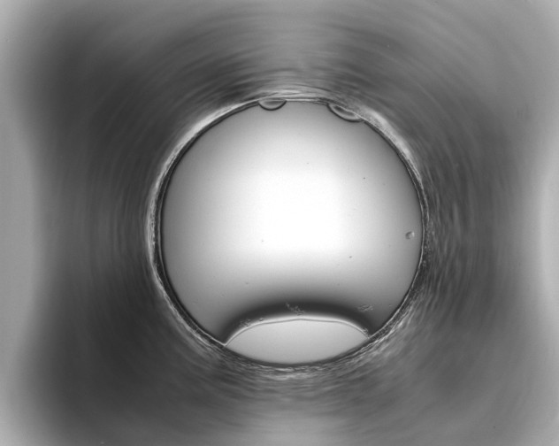 X0000094341195200711021143