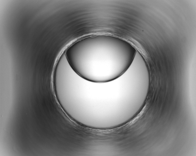 X0000094341196200711021143