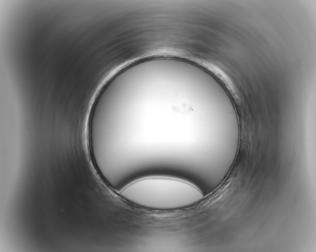 X0000094341199200711021143