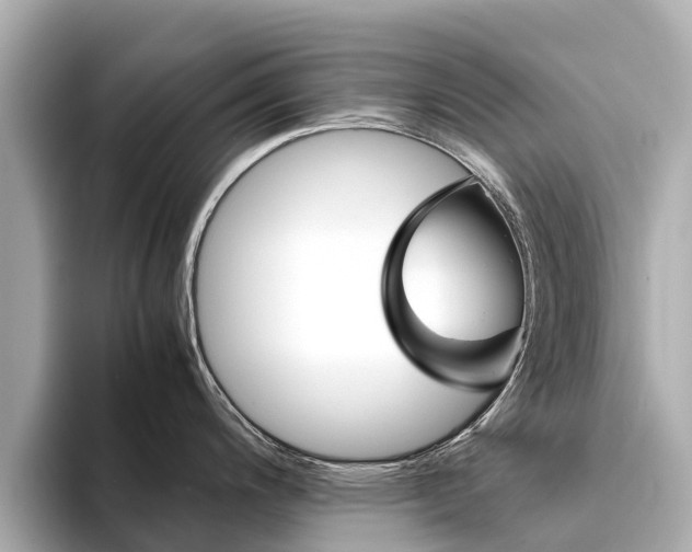 X0000094341200200711021143