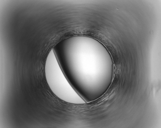 X0000094341202200711021143