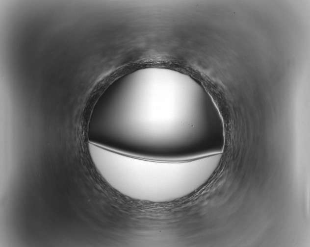 X0000094341206200711021143