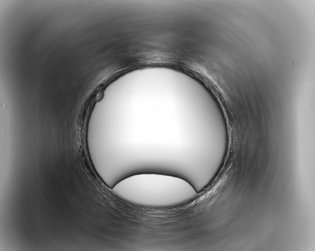 X0000094341211200711021143