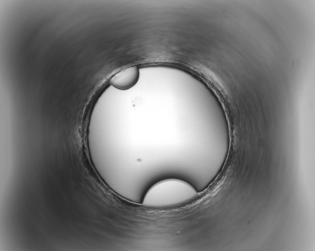 X0000094341212200711021143