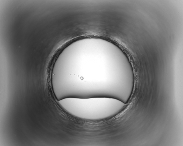X0000094341215200711021143