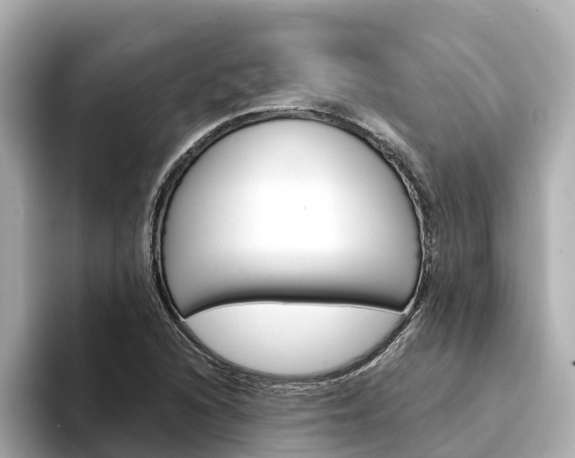 X0000094341216200711021143