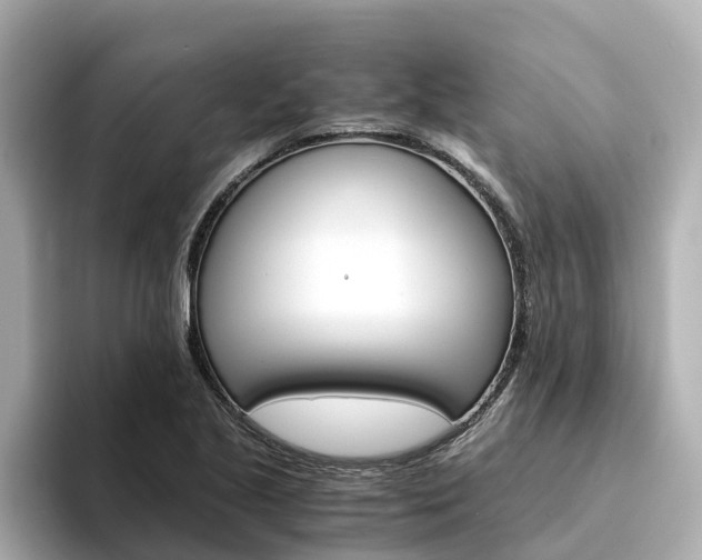 X0000094341221200711021143
