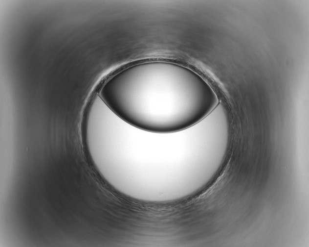 X0000094341222200711021143