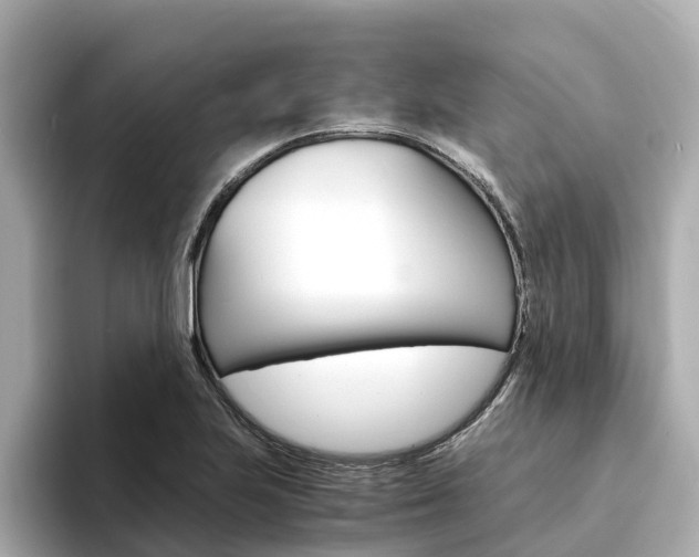 X0000094341223200711021143