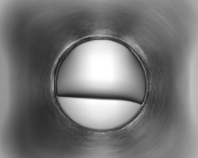 X0000094341224200711021143