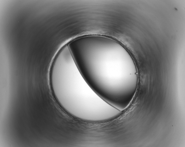 X0000094341230200711021143