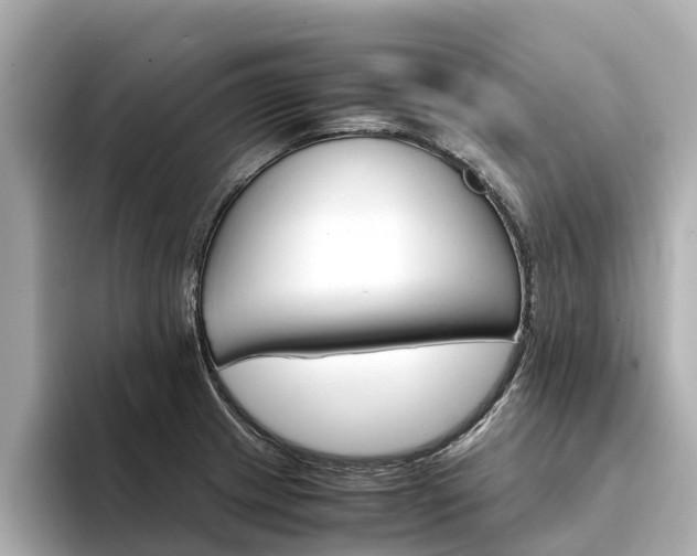 X0000094341233200711021143
