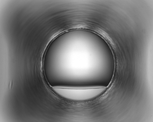 X0000094341234200711021143