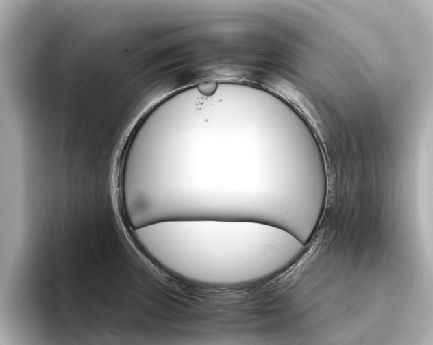 X0000094341235200711021143