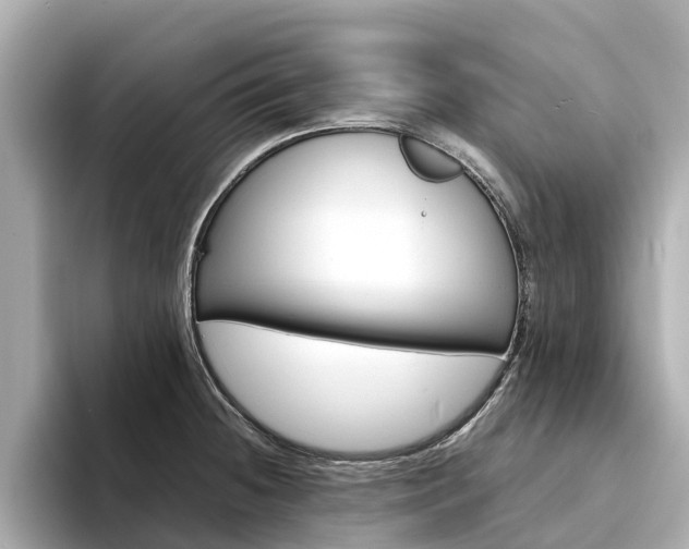 X0000094341236200711021143