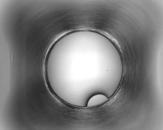 X0000094341239200711021143