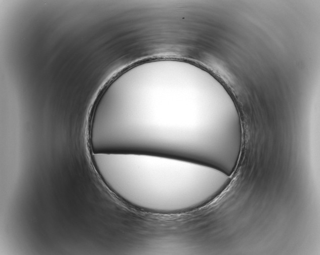 X0000094341240200711021143