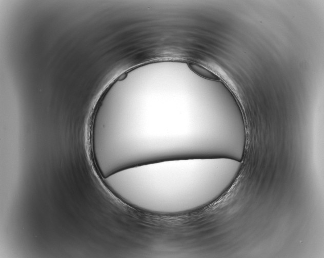 X0000094341243200711021143