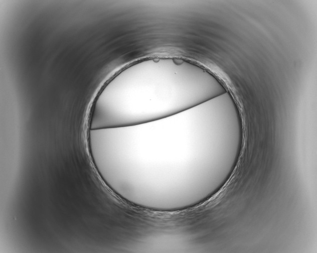 X0000094341248200711021143