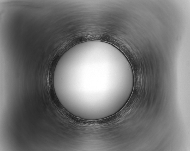 X0000094341250200711021143