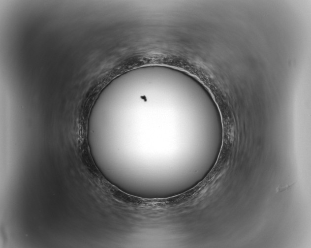 X0000094341253200711021143