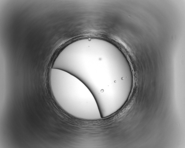 X0000094341259200711021143