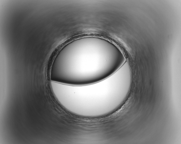 X0000094341261200711021143