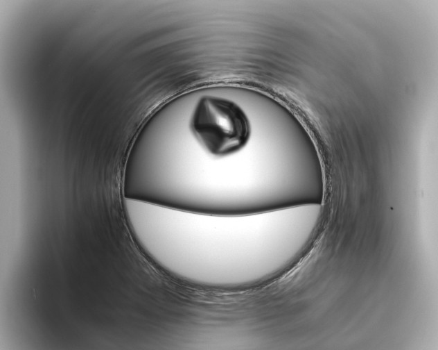 X0000094341273200711021142