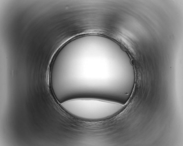 X0000094341276200711021142