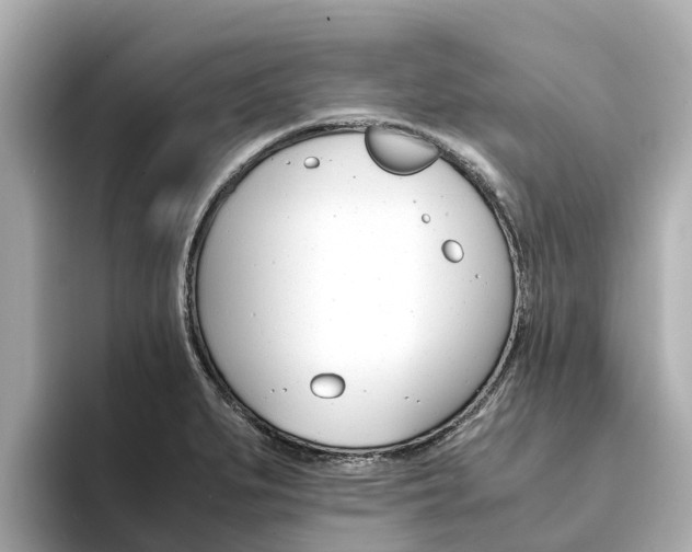 X0000094341279200711021142
