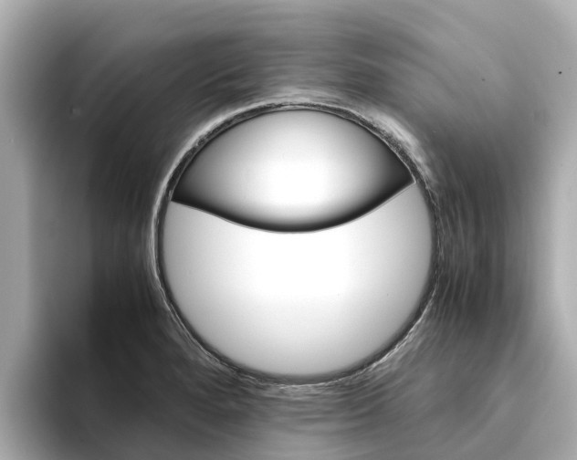X0000094341280200711021142
