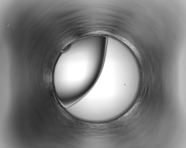 X0000094341281200711021142