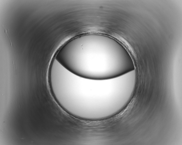 X0000094341285200711021142