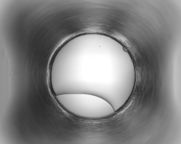 X0000094341286200711021142