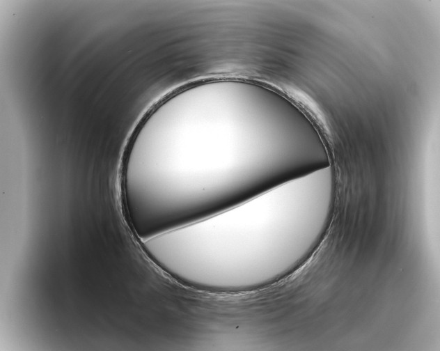 X0000094341288200711021142