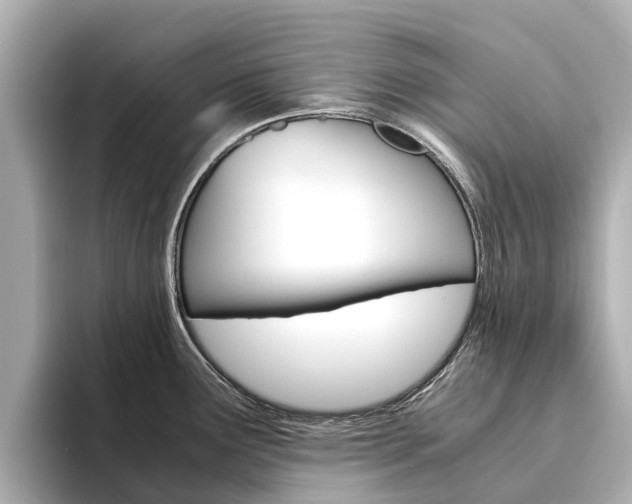 X0000094341291200711021142