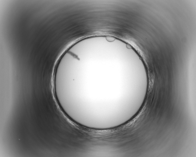 X0000094341294200711021142