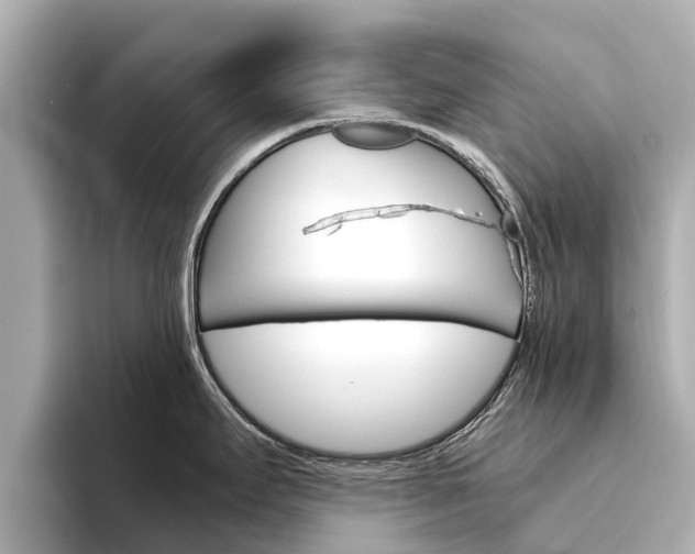 X0000094341295200711021142