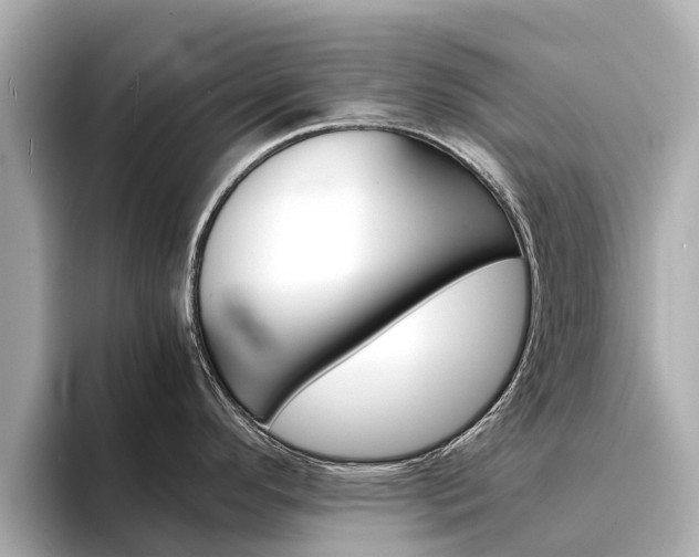 X0000094341296200711021142